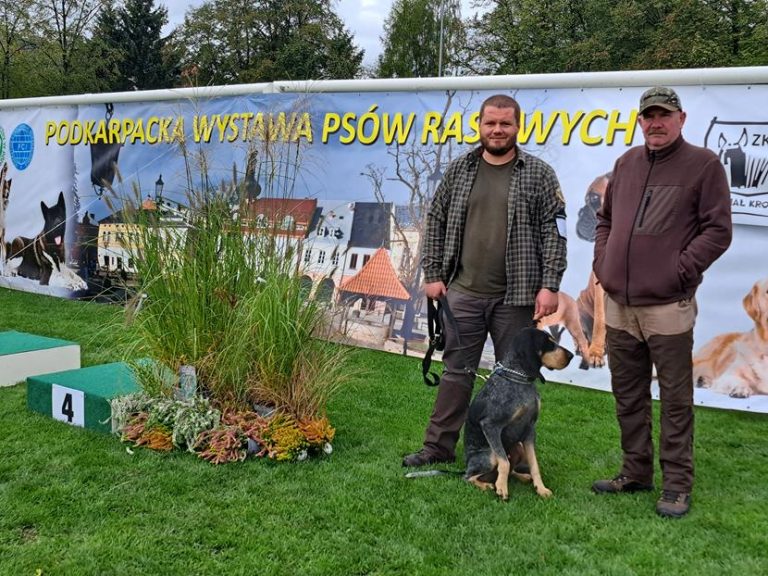 Pies naszego Kolegi dwukrotnie najlepszym psem danej rasy.  - 