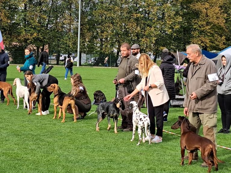 Pies naszego Kolegi dwukrotnie najlepszym psem danej rasy.  - 