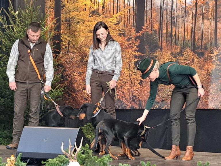 Hubertus Okręgu Rzeszowskiego 26 – 27.10.2024 r.  - 