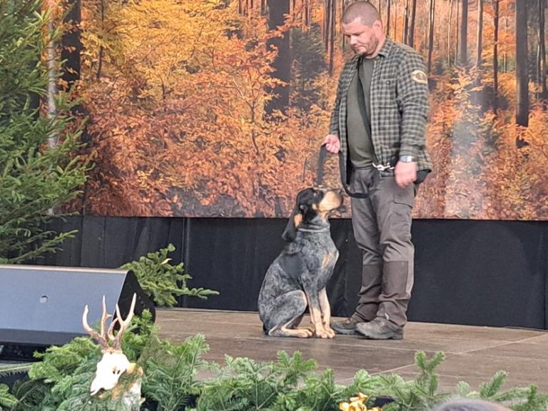 Hubertus Okręgu Rzeszowskiego 26 – 27.10.2024 r.  - 