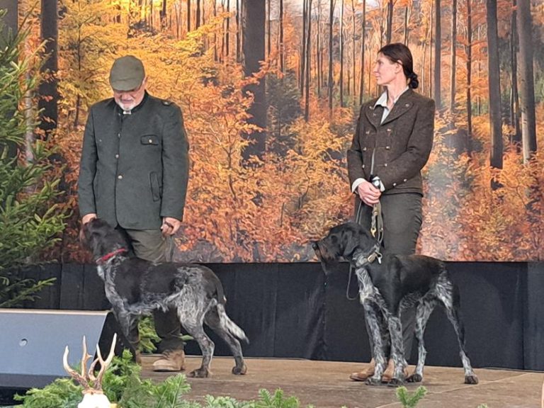 Hubertus Okręgu Rzeszowskiego 26 – 27.10.2024 r.  - 