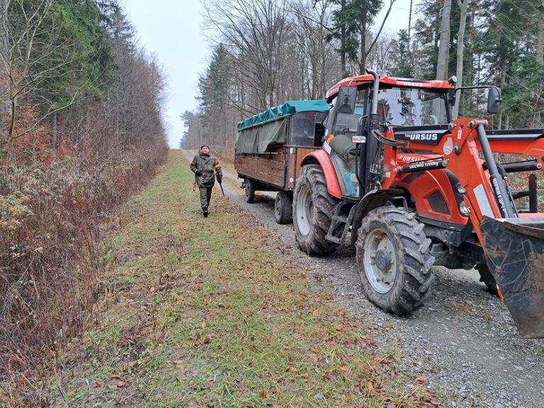 Zbiorówka – 07.12.2024 r.  - 